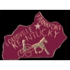 KENTUCKY PIN KY STATE SHAPE PINS